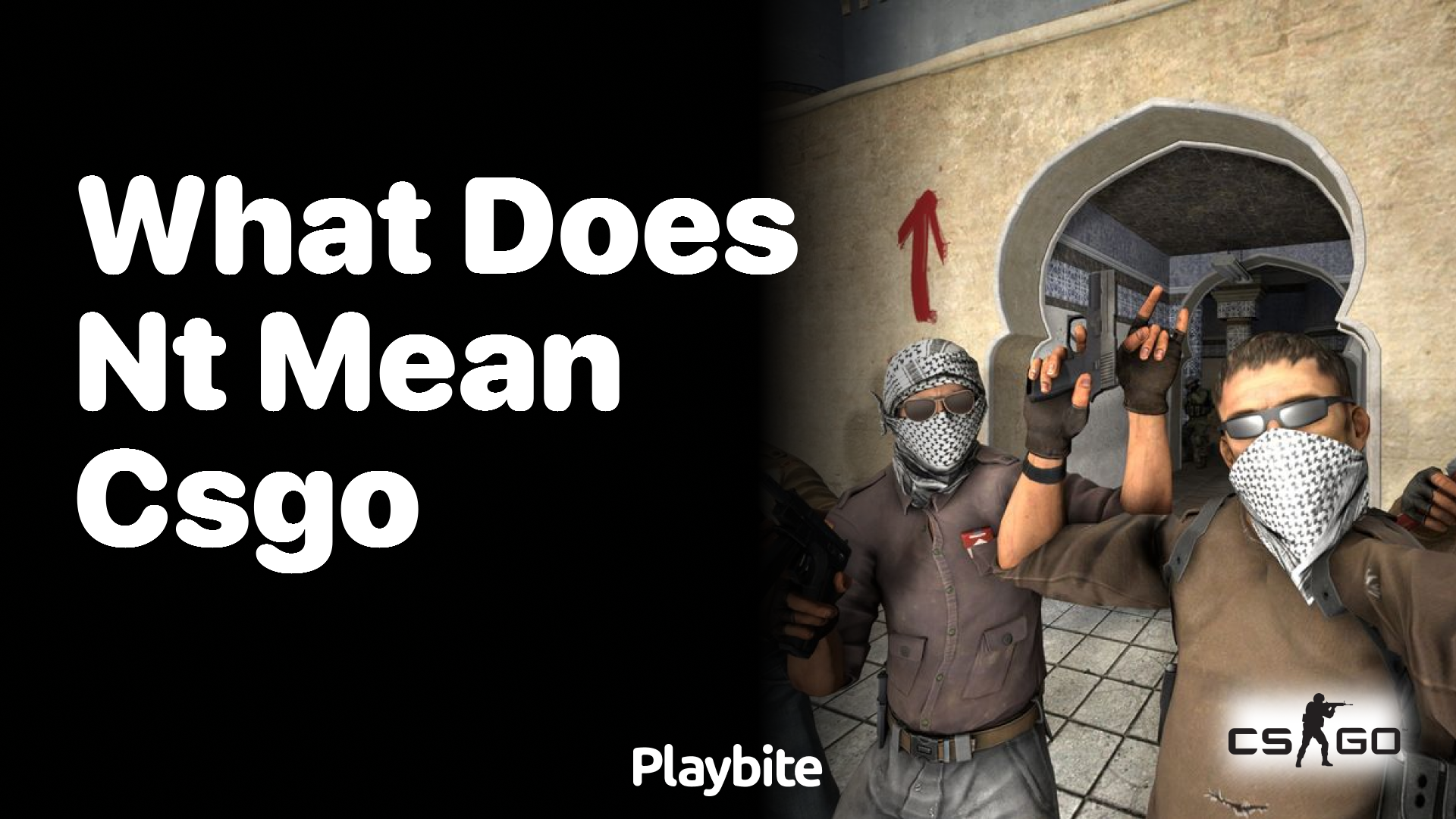 What does ‘NT’ mean in CS:GO?