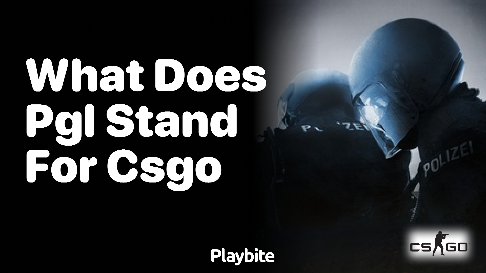 What does PGL stand for in CS:GO?