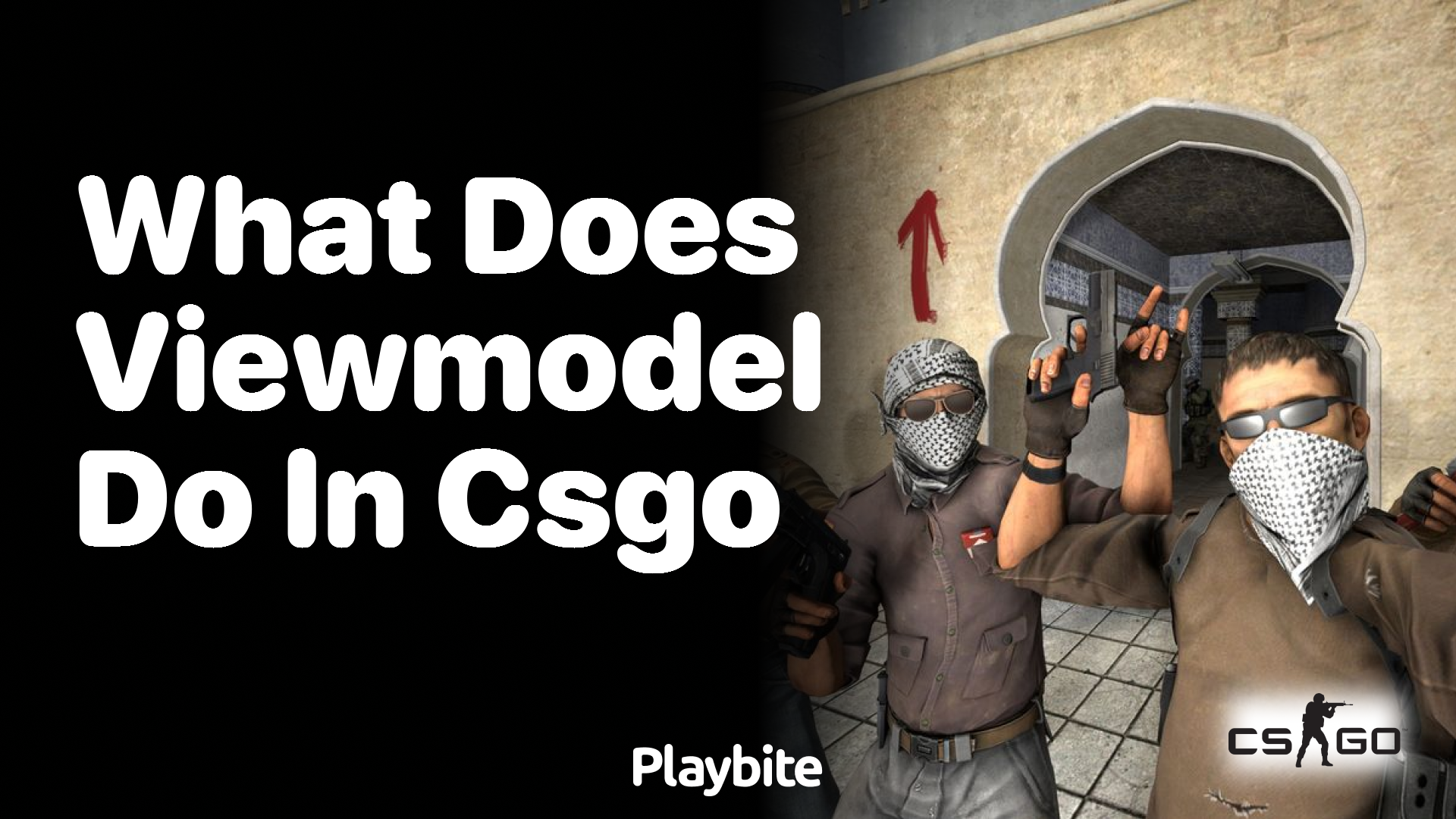 What does viewmodel do in CS:GO?