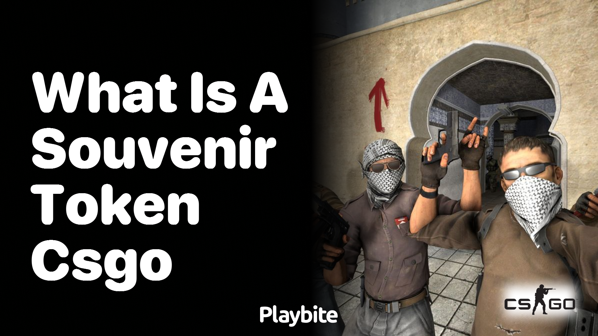 What is a Souvenir Token in CS:GO?