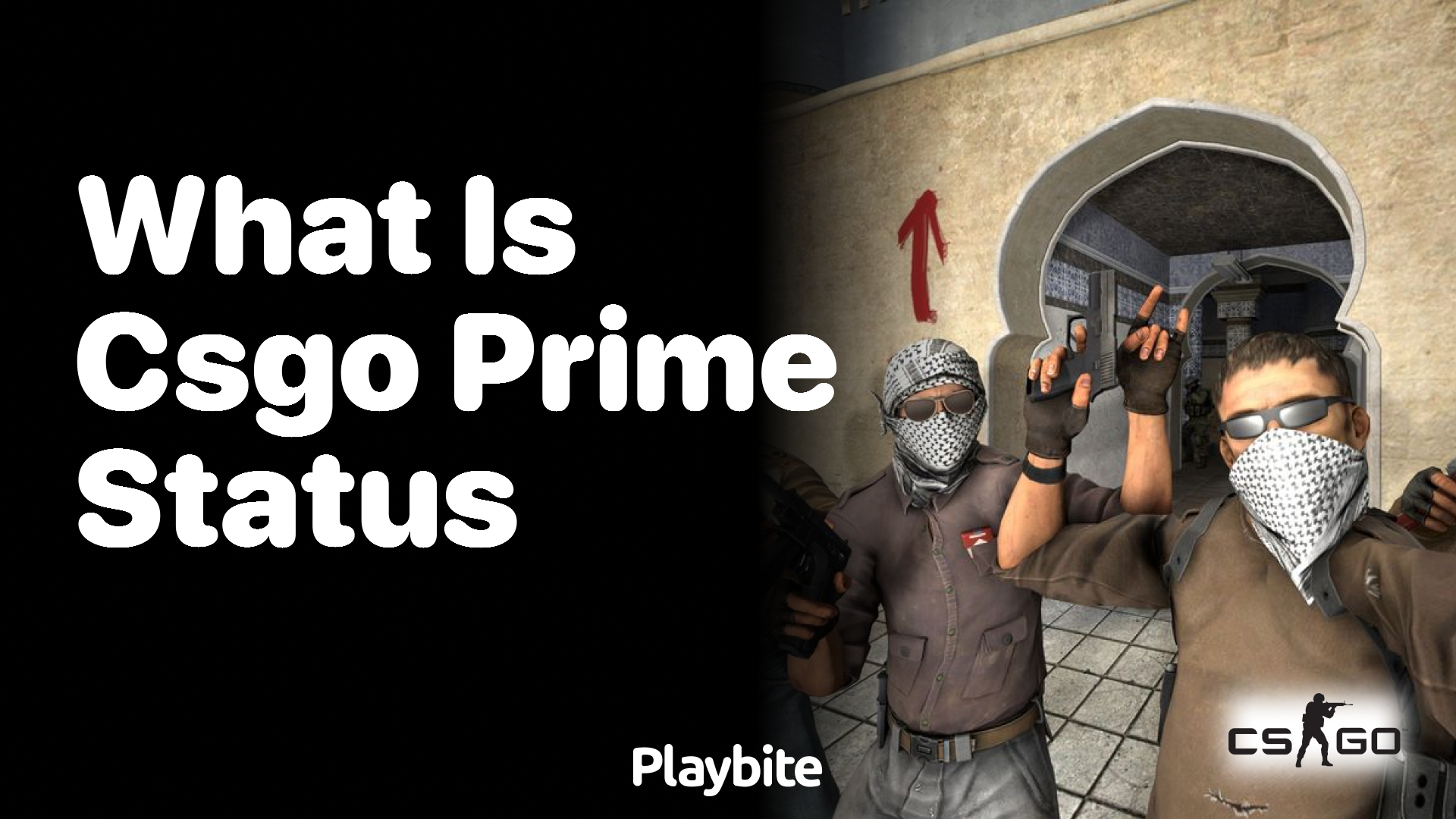 What is CS:GO Prime Status?