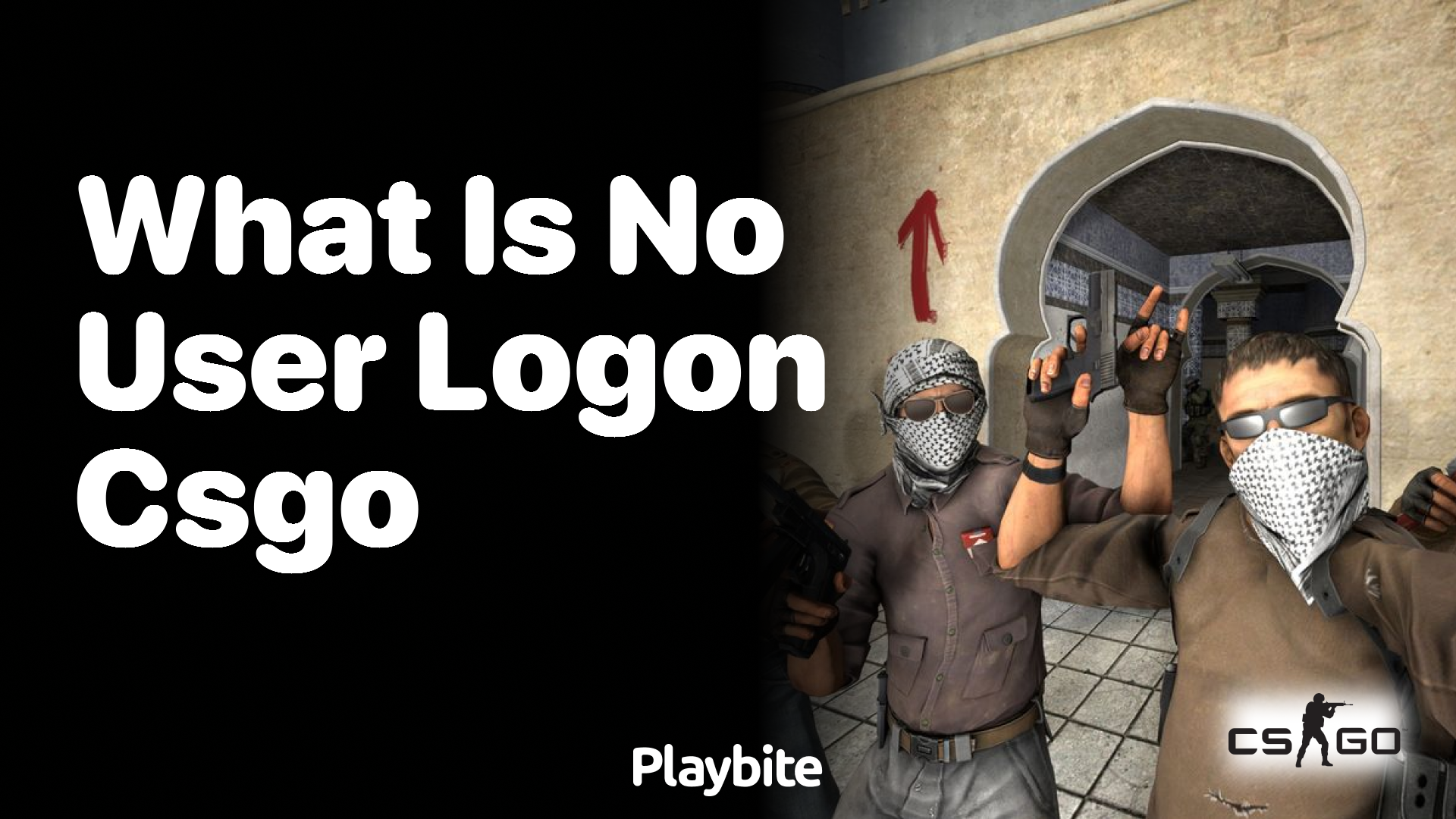 What does ‘No user logon’ mean in CS:GO?