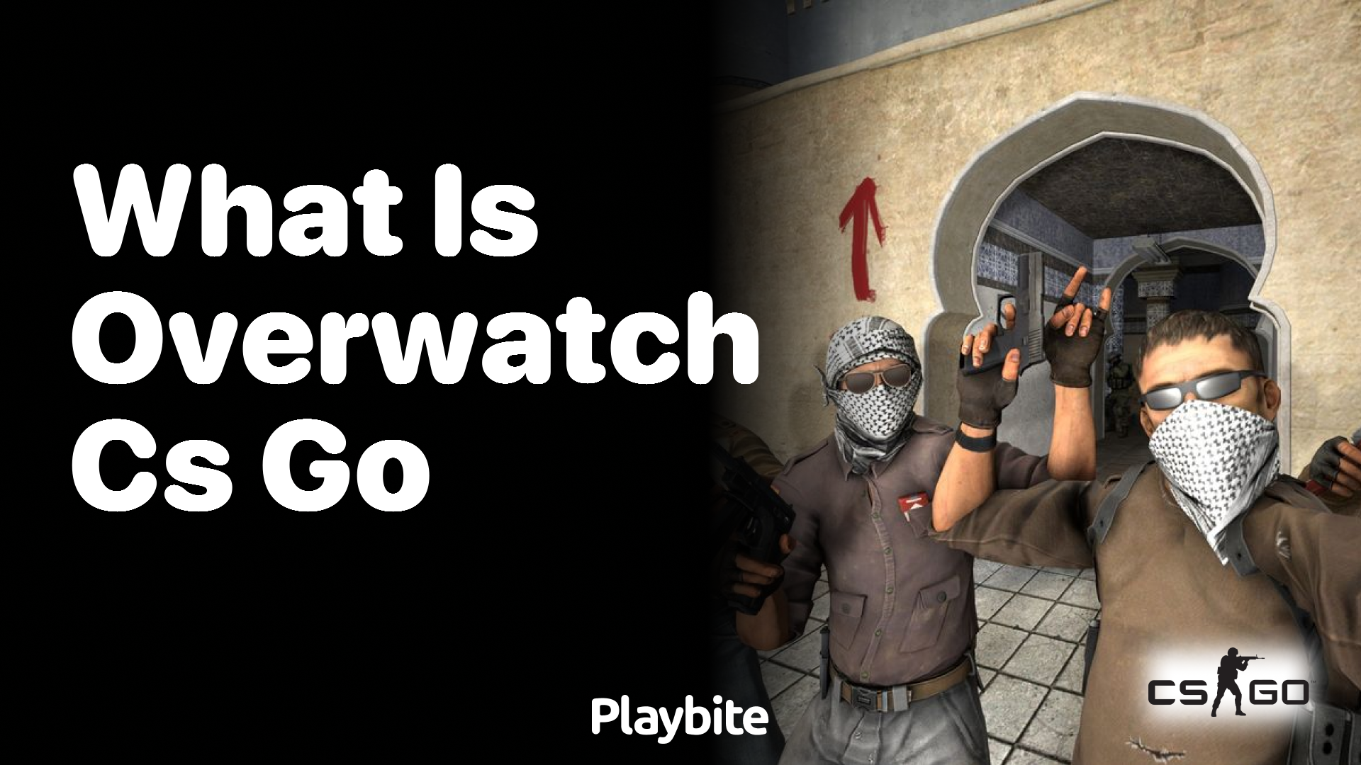 What is Overwatch in CS:GO?