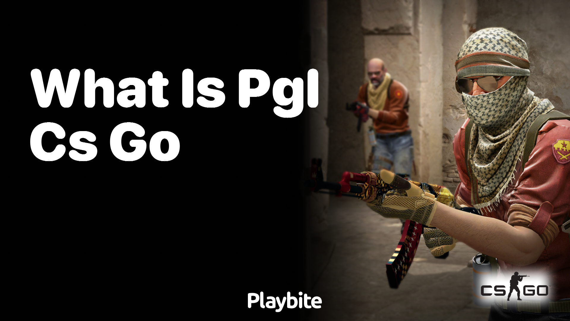 What is PGL in CS:GO?