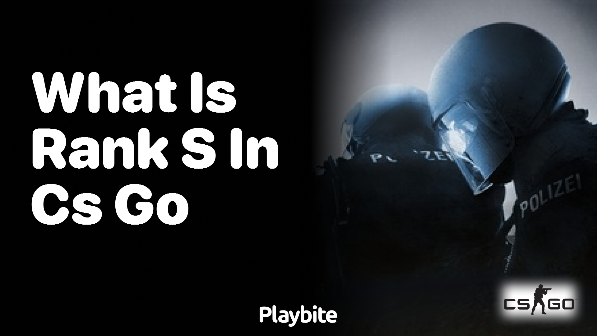 What is Rank S in CS:GO?