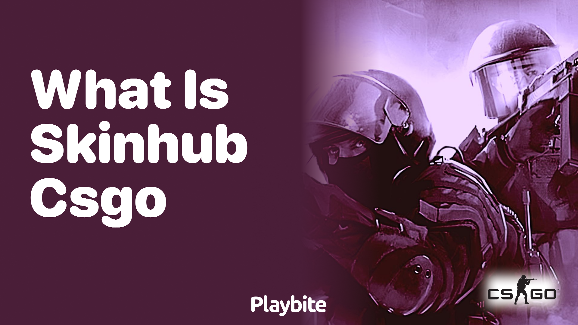 What is SkinHub CS:GO?