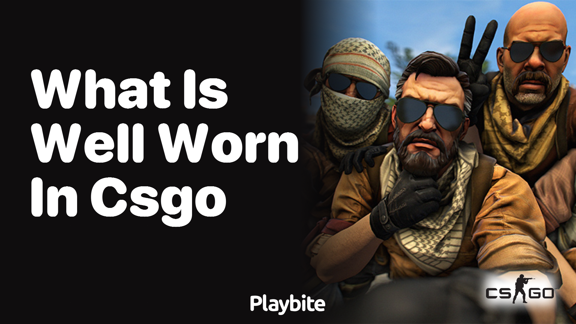 What is ‘Well-Worn’ in CS:GO?