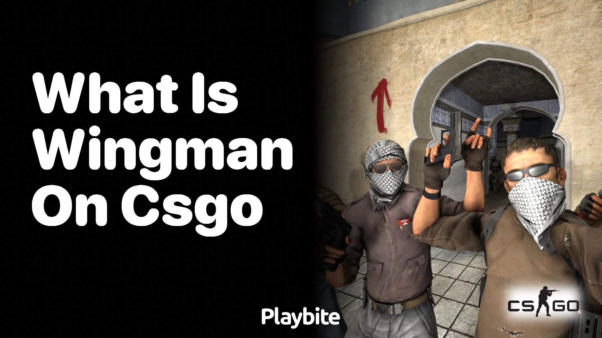 What is Wingman in CS:GO?