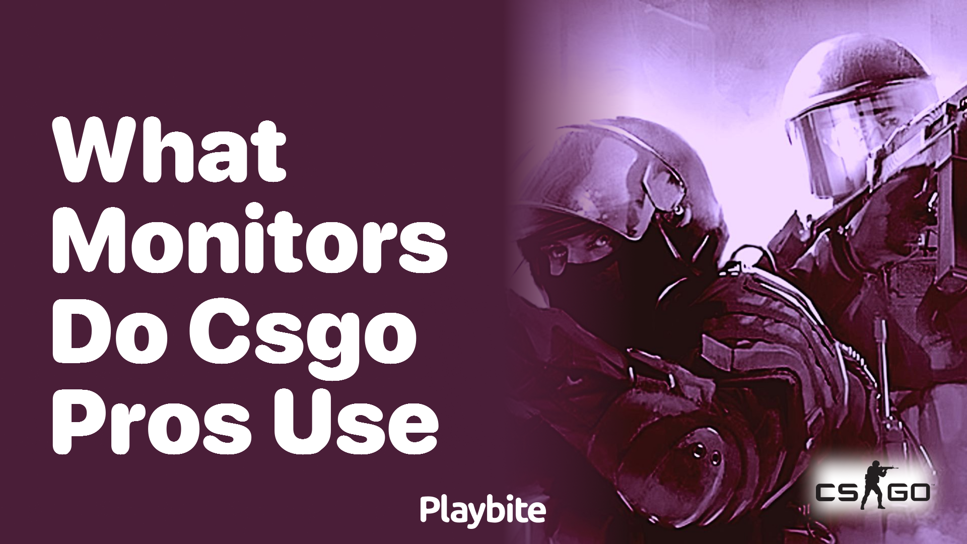 What Monitors Do CS:GO Pros Use?