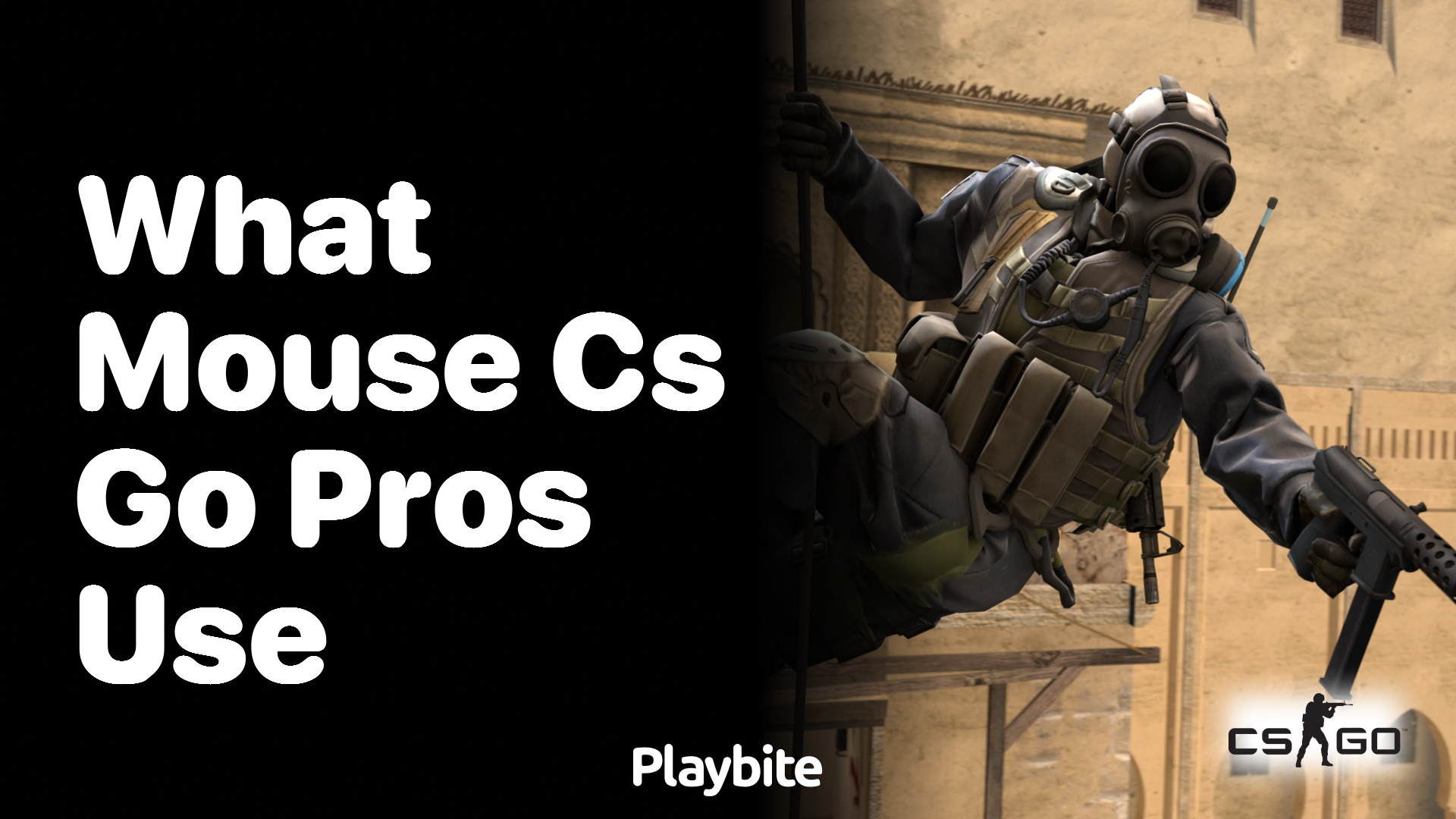 What mouse do CS:GO pros use?
