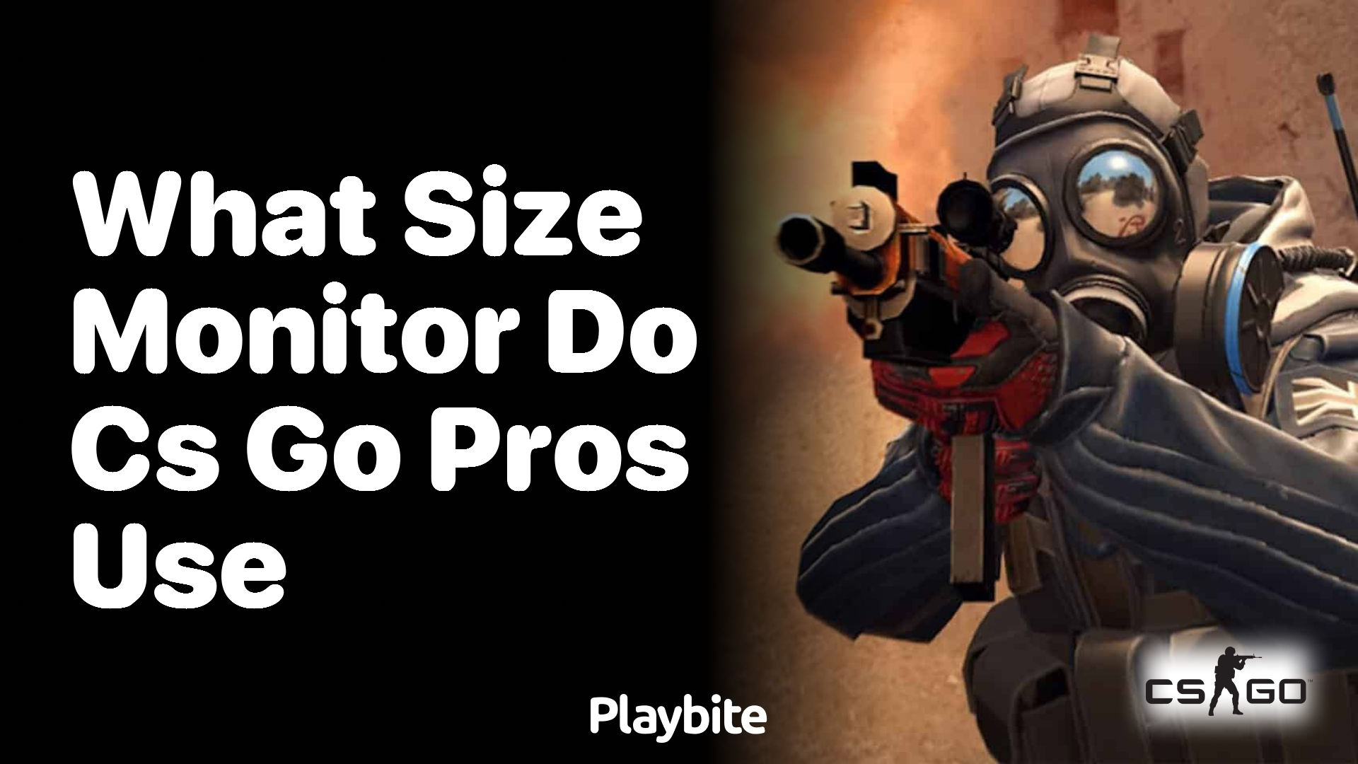 What size monitor do CS:GO pros use?