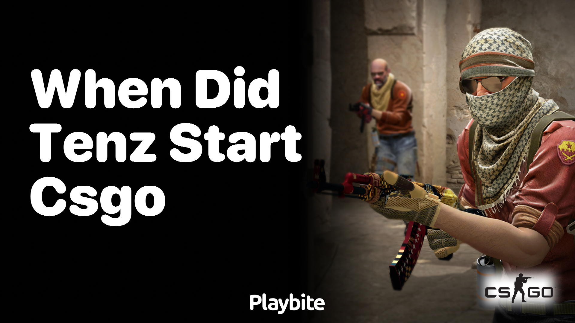 When did Tenz start playing CS:GO?