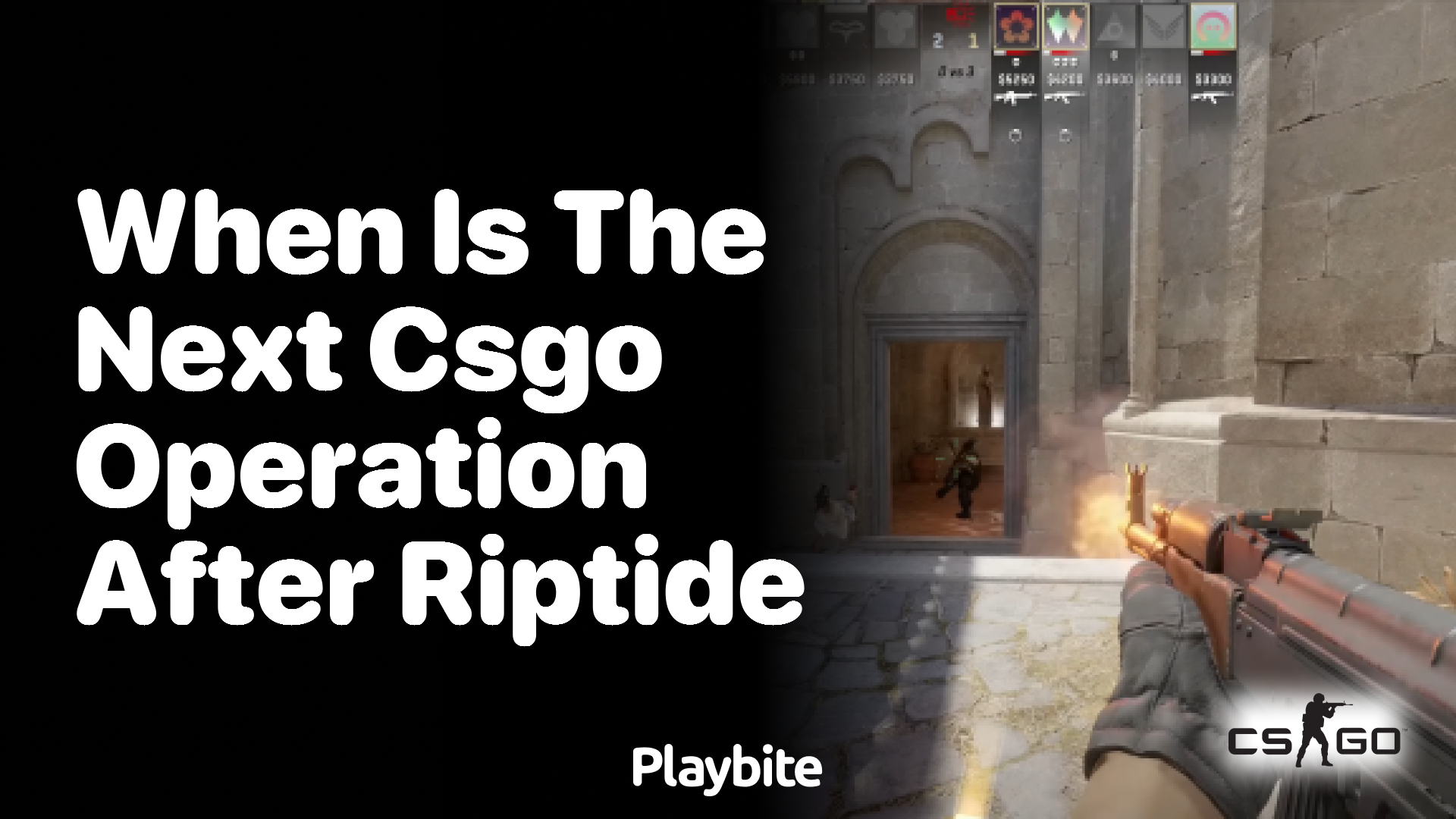 When is the next CS:GO operation after Riptide?