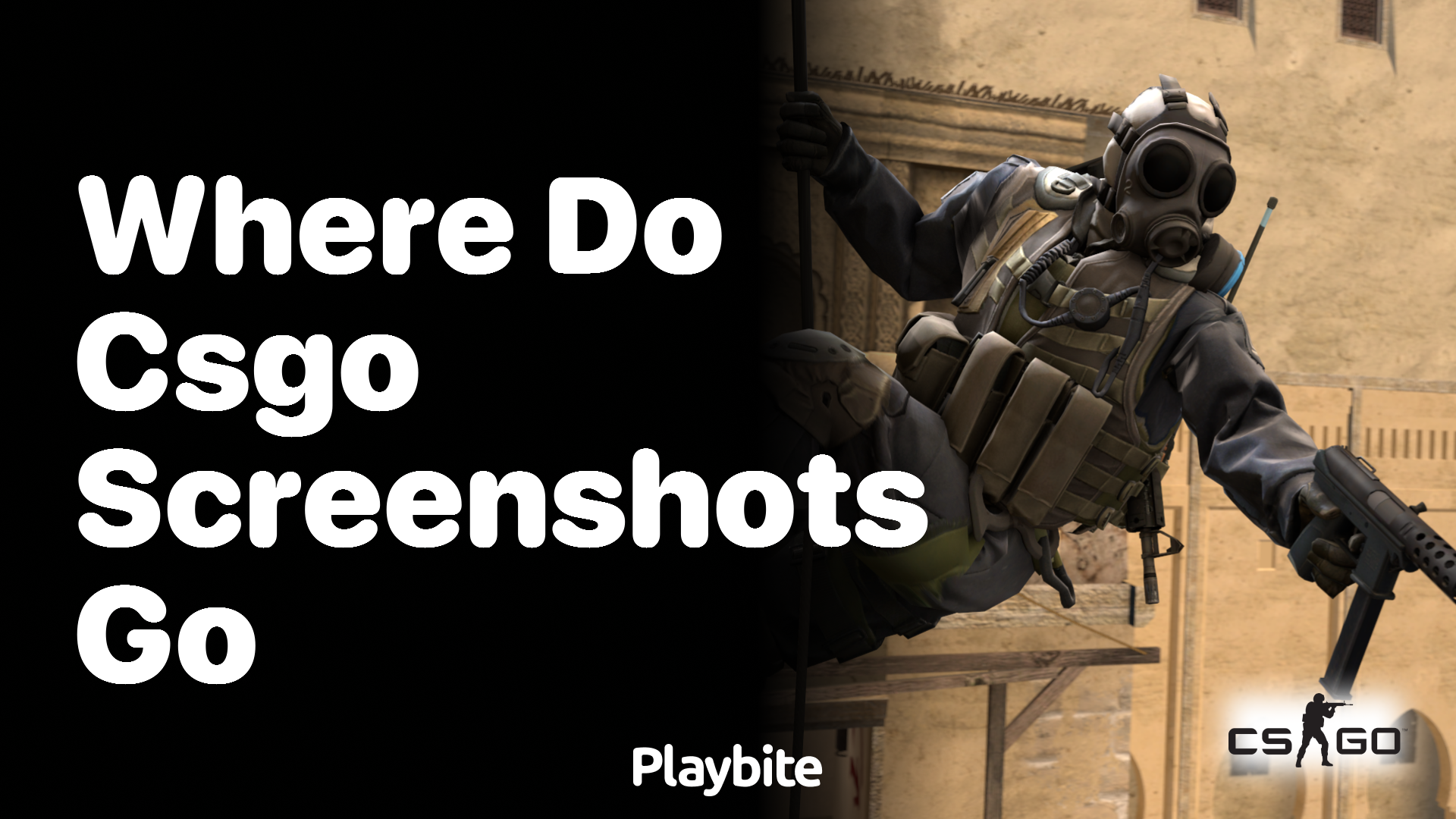 Where Do CS:GO Screenshots Go?