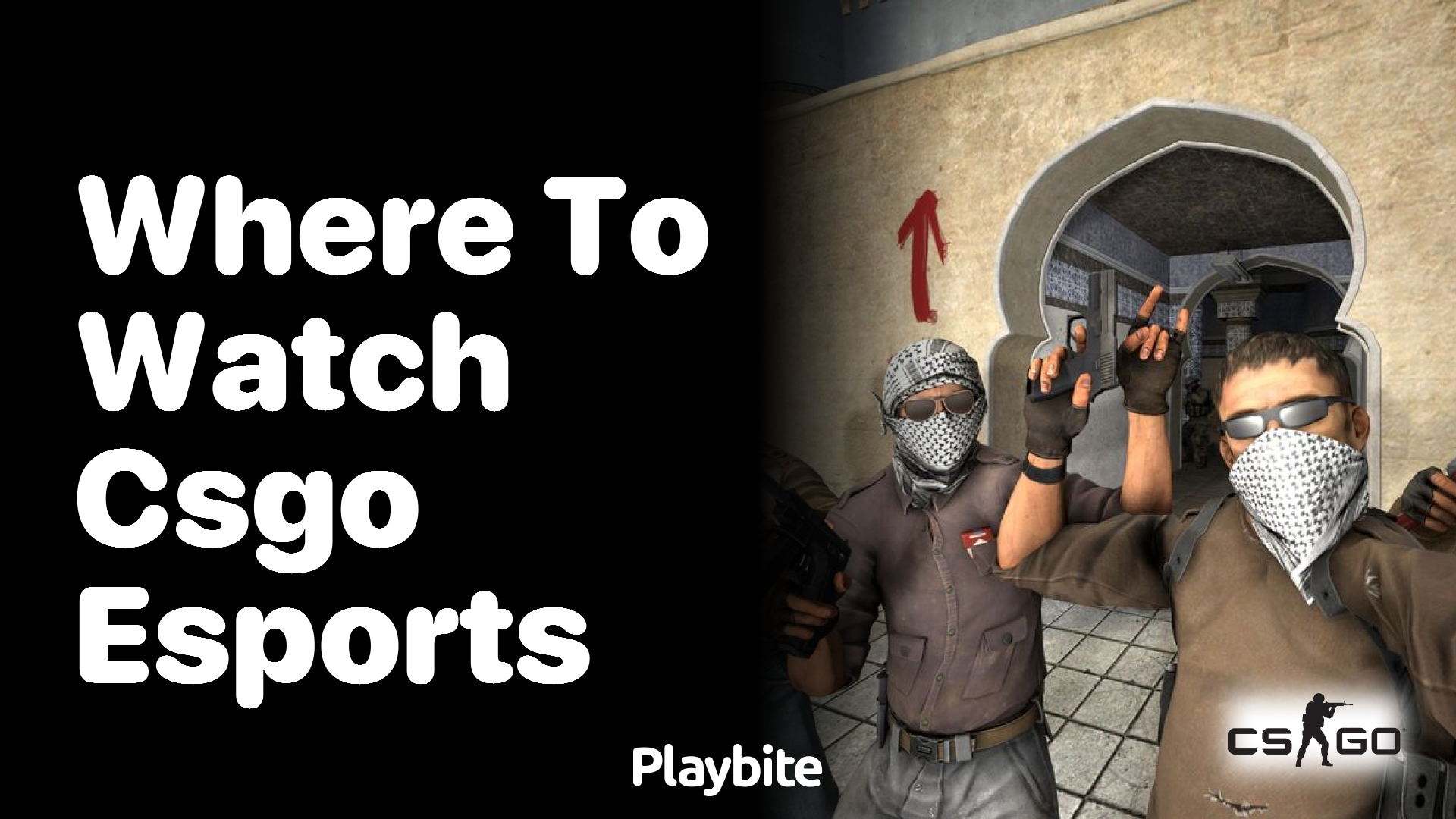 Where to Watch CS:GO Esports