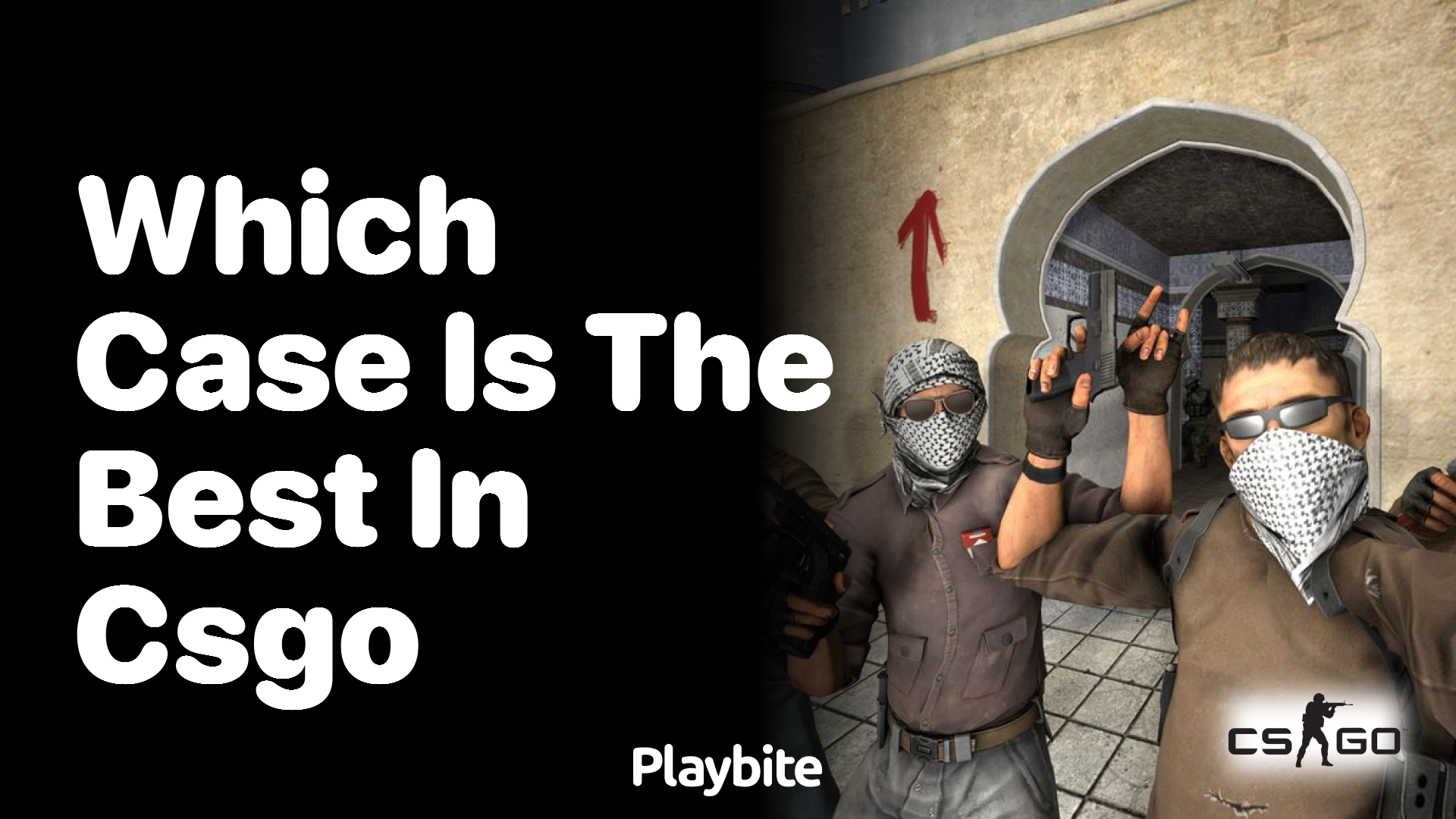 Which case is the best in CS:GO?