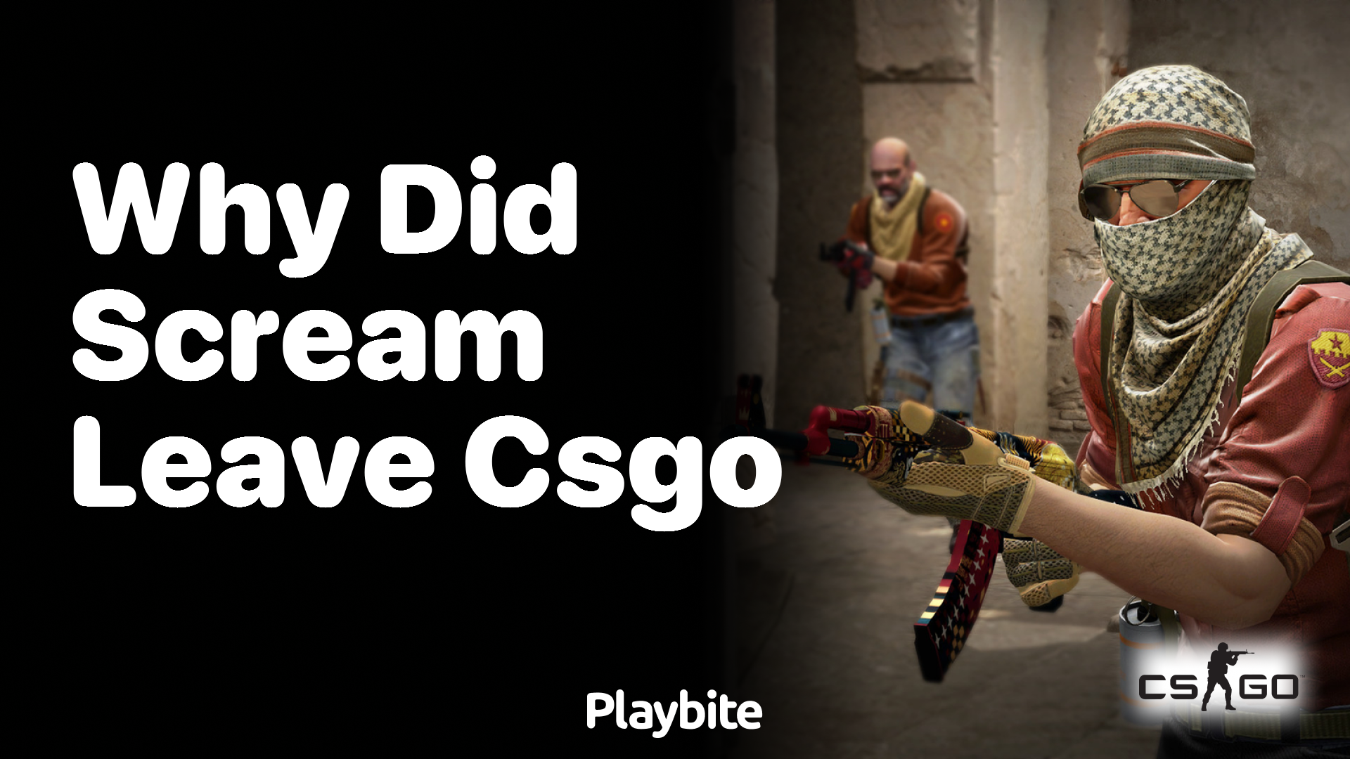 Why did ScreaM leave CS:GO?