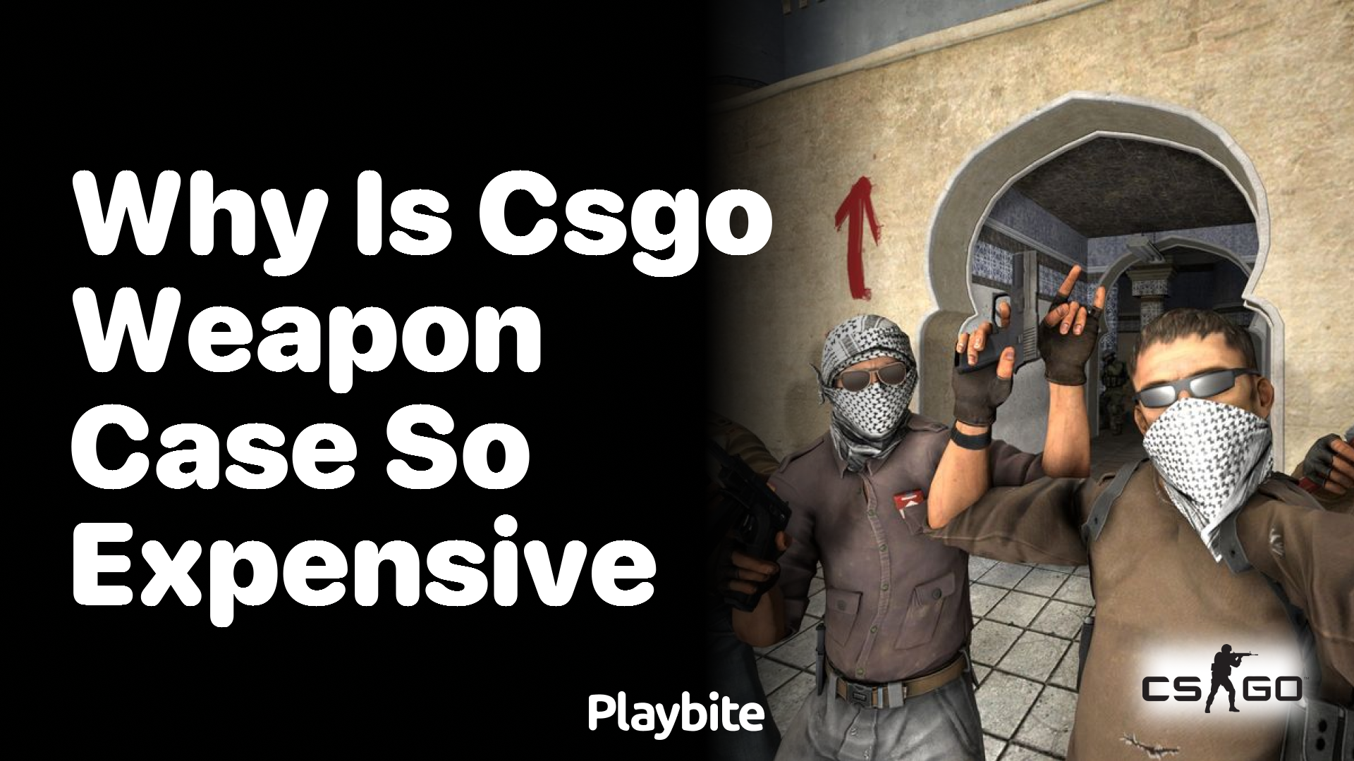 Why is CS:GO weapon case so expensive?