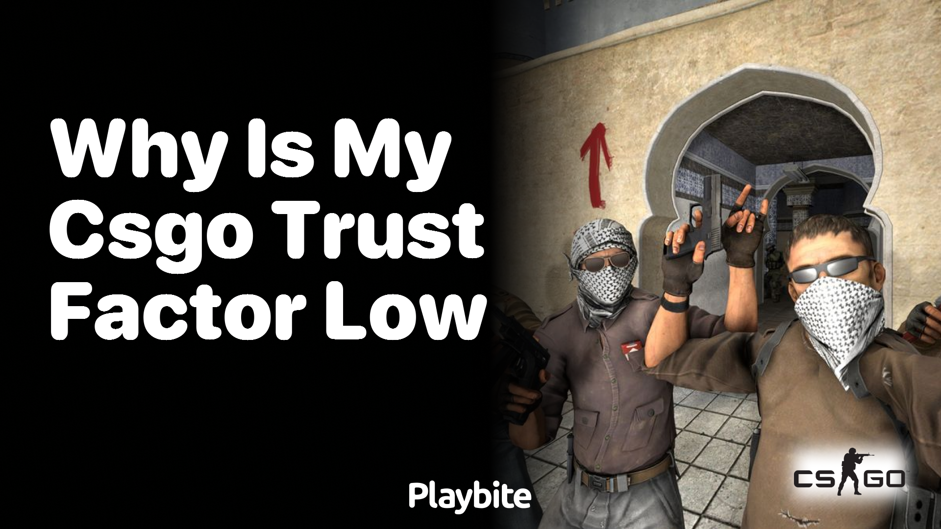 Why is my CS:GO Trust Factor Low?